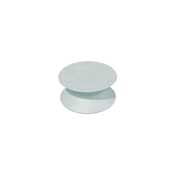 FUNGI TABLE M