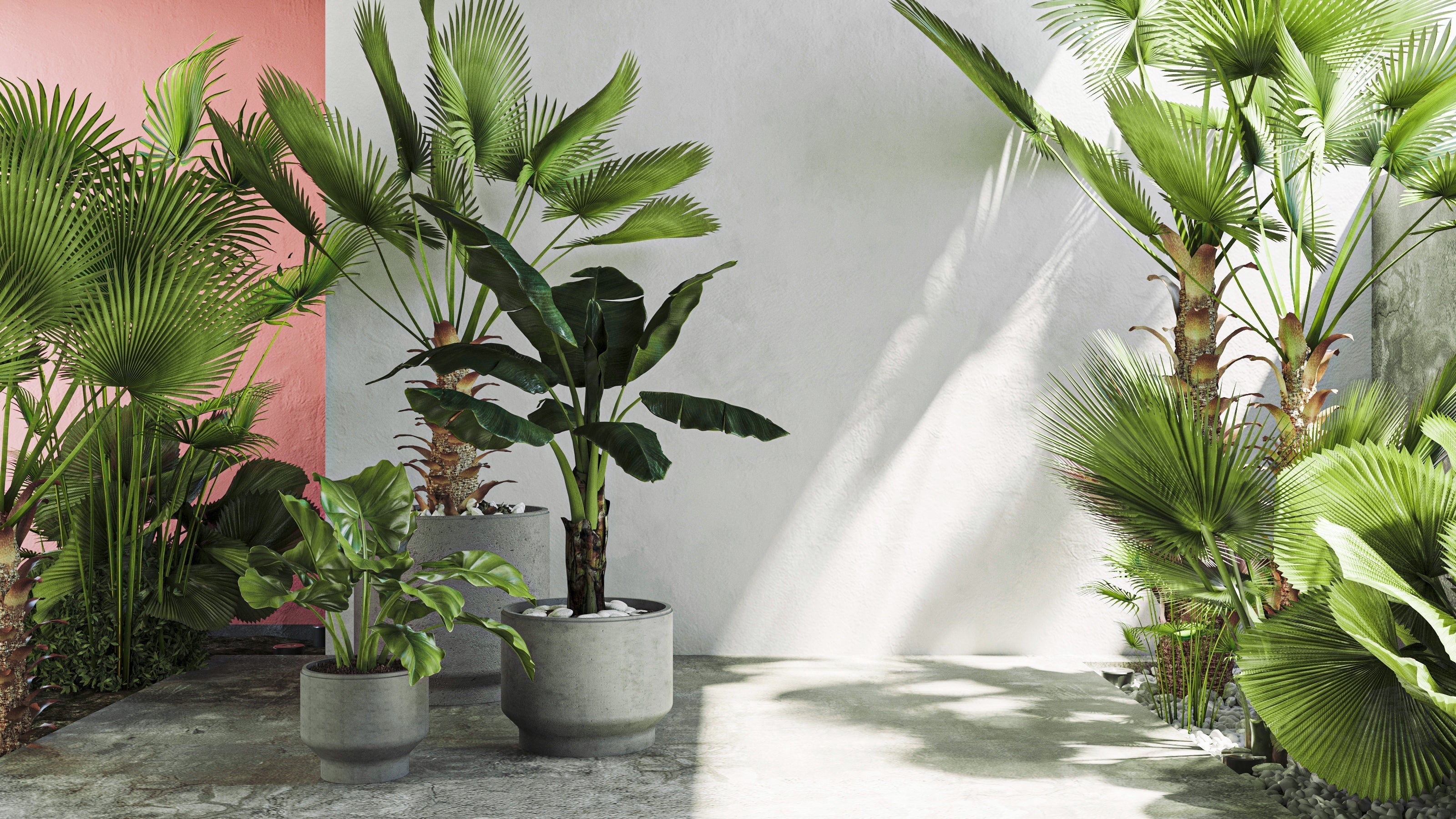 POTT PLANTER